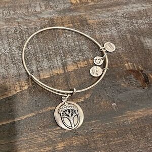 Alex and Ani Silver Unexpected Miracles Bracelet